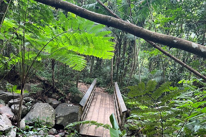 El Yunque National Forest Guided Tour with Transport - Key highlights worth knowing before you go
