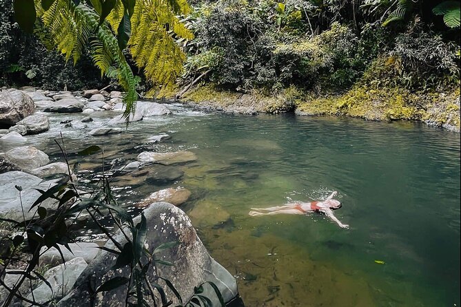 El Yunque National Forest Guided Tour with Transport - From Ashford Avenue to El Yunque: the 5-hour rhythm