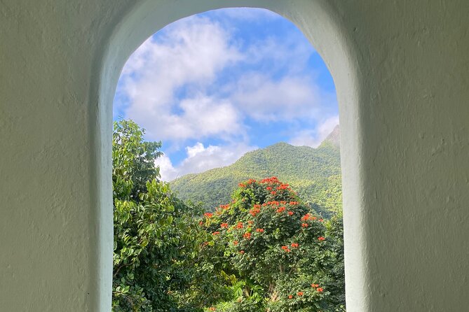 El Yunque National Forest Guided Tour with Transport - Lunch and souvenirs: plan for what is not included