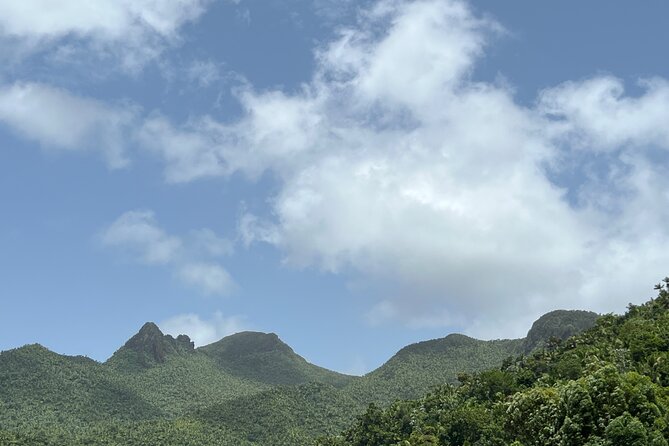 El Yunque National Forest Guided Tour with Transport - Price and value: is $80 a fair deal?