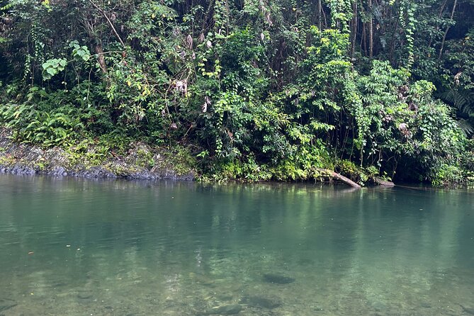 El Yunque National Forest Guided Tour with Transport - Who should book this El Yunque guided tour