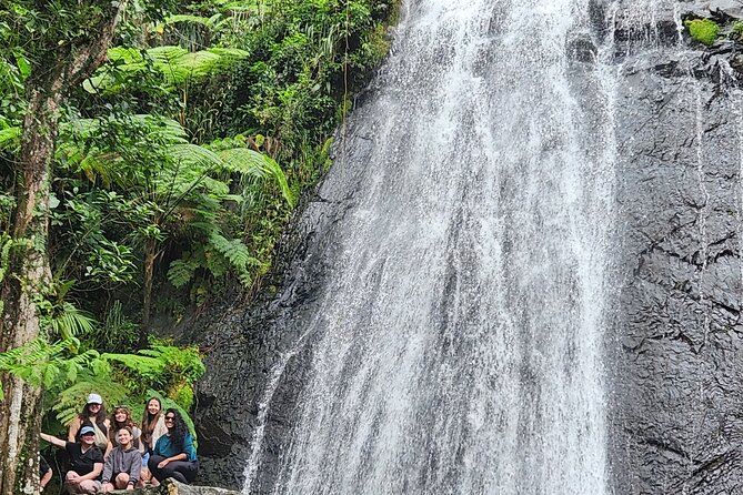 El Yunque National Rainforest and Luquillo Beach Tour - El Yunque From San Juan, Without the Guesswork