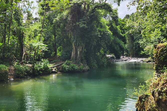El Yunque National Rainforest and Luquillo Beach Tour - Mameyes River Pools: The Best Part, With One Big Variable