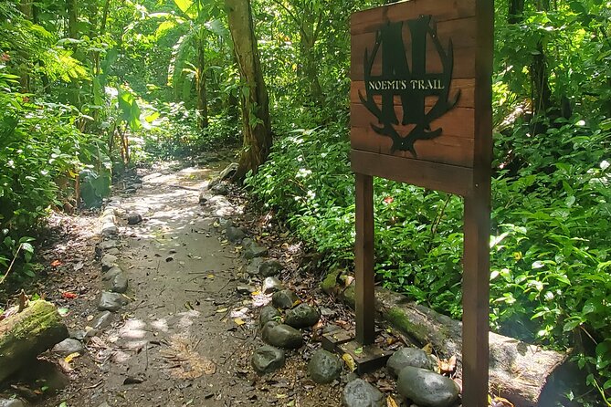 El Yunque National Rainforest and Luquillo Beach Tour - Luquillo Beach and the Kiosk Area: Time to Eat and Reset