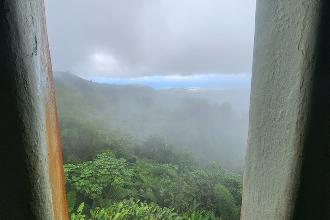El Yunque National Rainforest and Luquillo Beach Tour - Who This Tour Fits Best