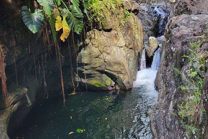El Yunque Rainforest and Luquillo Kiosk Day Trip - Life Vest and First Aid Skills: Safety in a Real Rainforest
