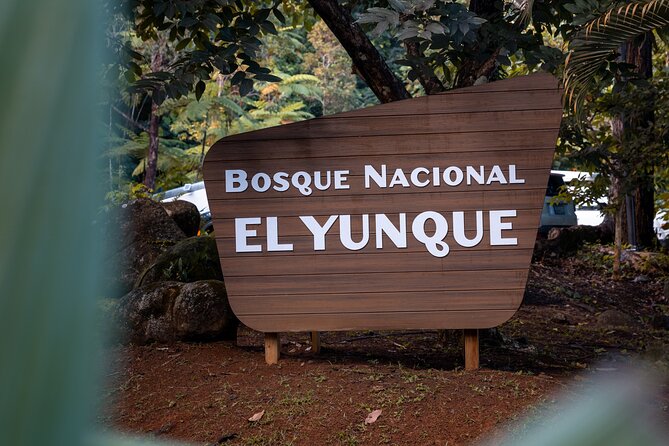 El Yunque Rainforest EZ-going Bus Tour (wheelchair accessible) - Quick hits you can plan around