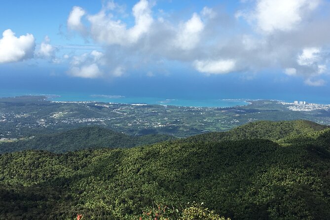 El Yunque Rainforest EZ-going Bus Tour (wheelchair accessible) - Pickup in Isla Verde, mobile tickets, and wheelchair setup