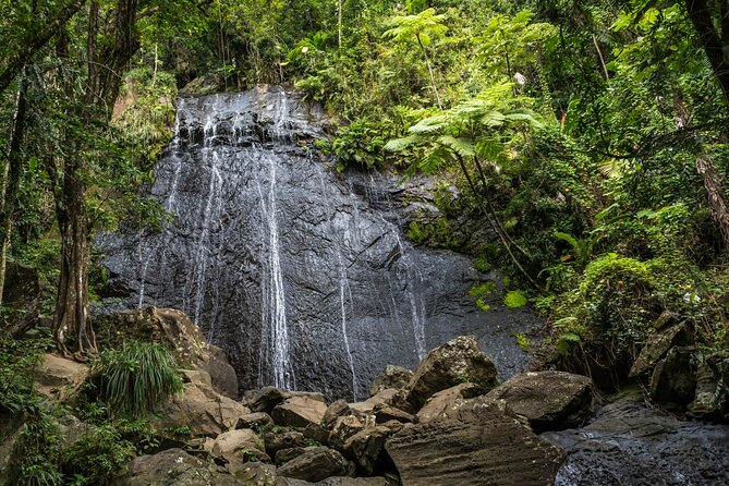 El Yunque Rainforest EZ-going Bus Tour (wheelchair accessible) - Fajardo overlook in 10 minutes: coastline views, fast and free