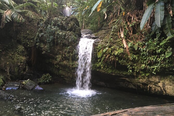 El Yunque Rainforest EZ-going Bus Tour (wheelchair accessible) - Catarata La Coca: a short trail stop built for photos