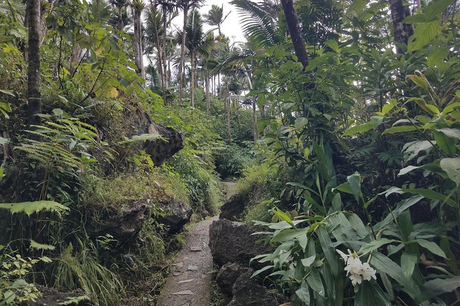 El Yunque Rainforest Full Day Private Tour - La Coca Falls: the quick photo moment that changes the mood