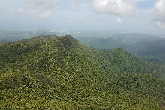 El Yunque Rainforest Full Day Private Tour - Torre Yokahu: why this tower stop earns its hour