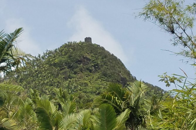 El Yunque Rainforest Full Day Private Tour - Choosing your pace: peak hikes for walkers, softer days for everyone else