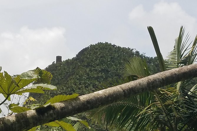 El Yunque Rainforest Full Day Private Tour - Lunch planning: don’t let hunger steal your best photos