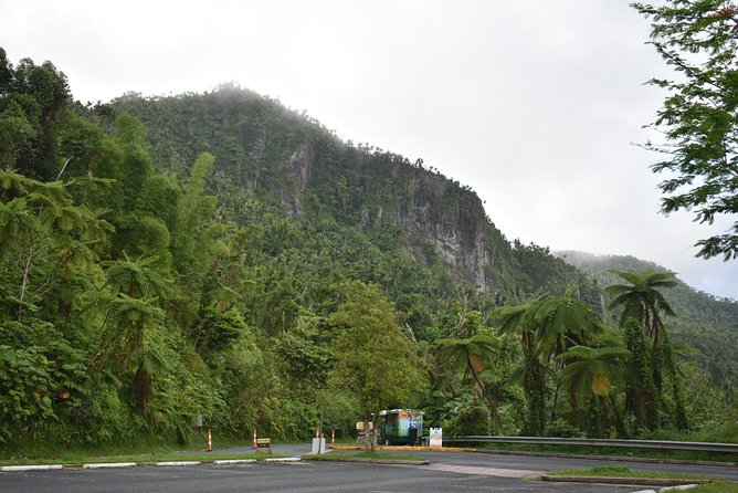 El Yunque Rainforest Guided Day Tour from San Juan - La Coca Waterfall From the Road (No Waiting, Just Wow)