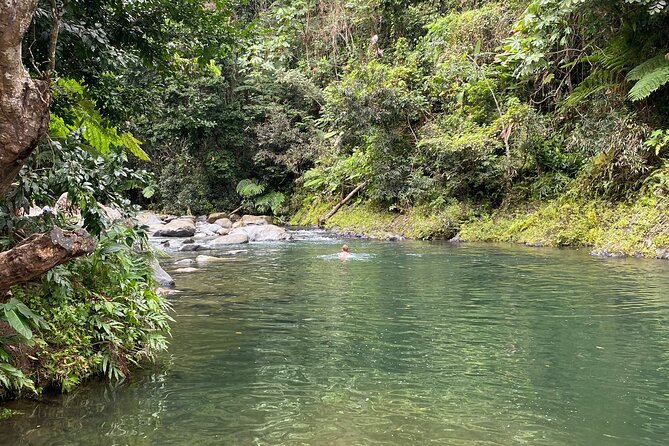 El Yunque Rainforest Guided Day Tour from San Juan - Torre Yokahú: The 360-Degree View That Makes the Trip Click