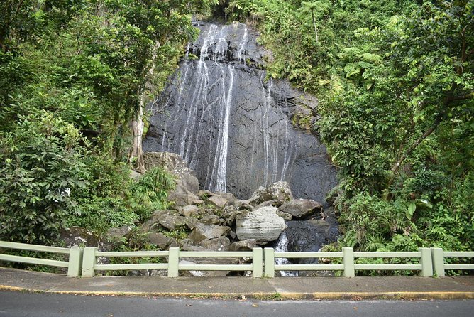 El Yunque Rainforest Guided Day Tour from San Juan - The Guide Factor: Why Names Keep Coming Up