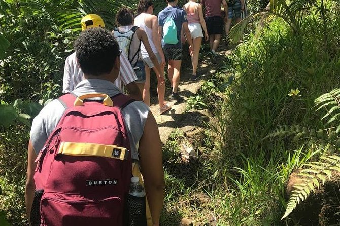 El Yunque Rainforest Guided Day Tour from San Juan - Comfort and Gear: Simple Things That Prevent Day-Downers
