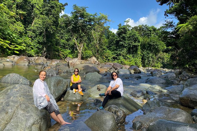 El Yunque Rainforest Guided Day Tour from San Juan - Mameyes II: The Short Nature Walk and River Swim Reality Check
