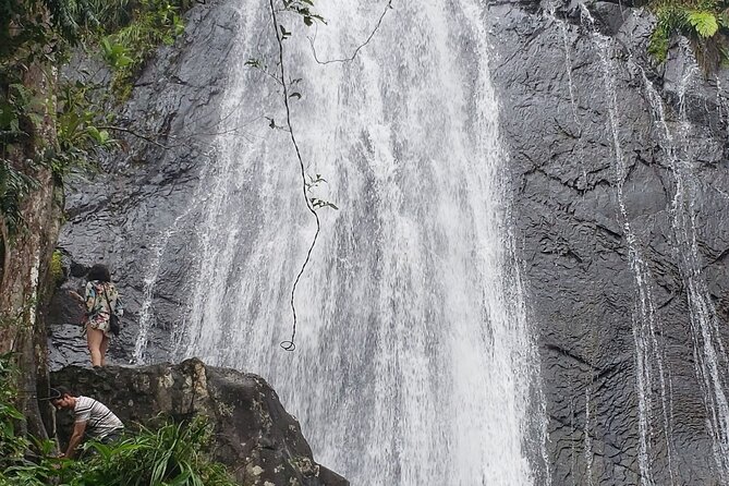 El Yunque Rainforest Guided Tour - Why El Yunque Works So Well for a Half-Day From San Juan