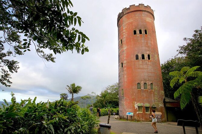El Yunque Rainforest Guided Tour - The Waterfall, Lookout Views, and Why the Stops Matter
