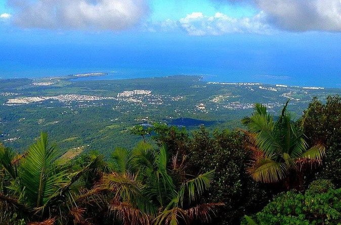 El Yunque Rainforest Guided Tour - Who Should Book This Tour (and Who Might Want to Rethink It)