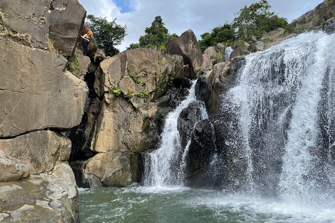 El Yunque Rainforest Hike and Luquillo Beach Tour - What to Pack for a Rainforest-to-Beach Day