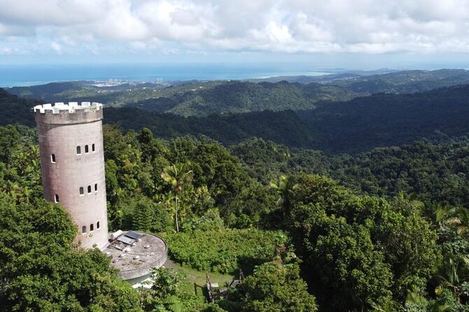 El Yunque Rainforest Hike with Transport from San Juan - Key Highlights Worth Knowing