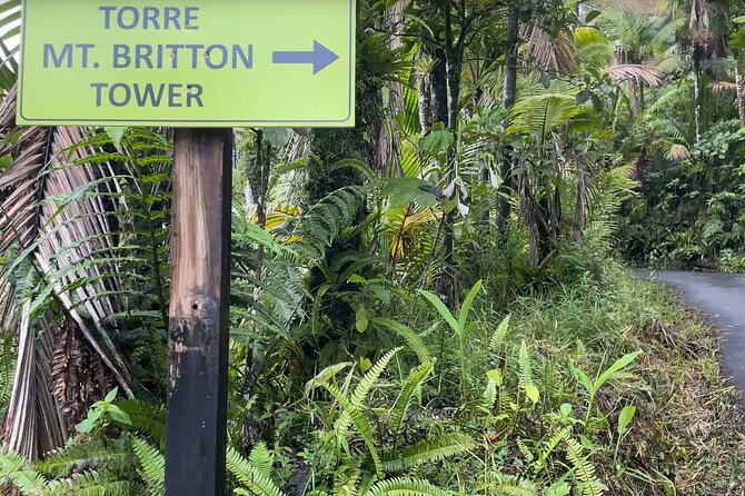 El Yunque Rainforest Hike with Transport from San Juan - Stop 1: El Yunque National Forest, Where Species Hide in Plain Sight