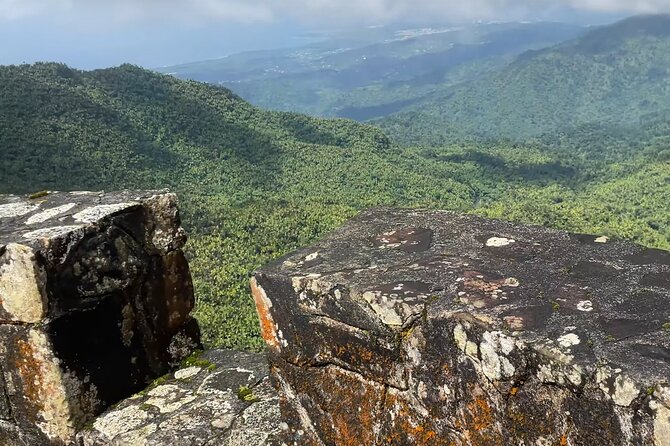 El Yunque Rainforest Hike with Transport from San Juan - Waterfalls and Swimming Pools, What to Expect and How to Prep
