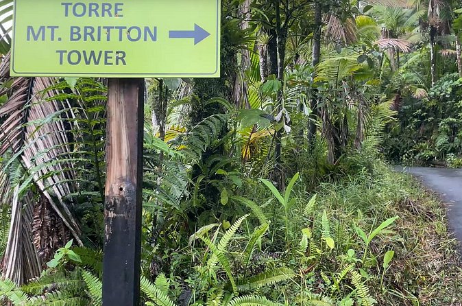 El Yunque Rainforest Hike with Transport from San Juan - Guides Make or Break the Day, Luis and Diana’s Style