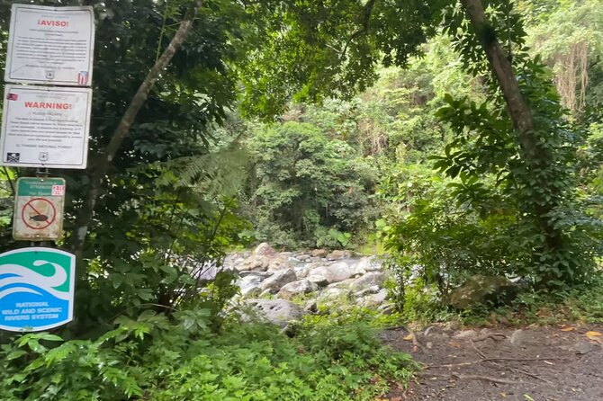 El Yunque Rainforest Hike with Transport from San Juan - Hike Expectations: Light Trek, Real Trail Time, and Vehicle Stops