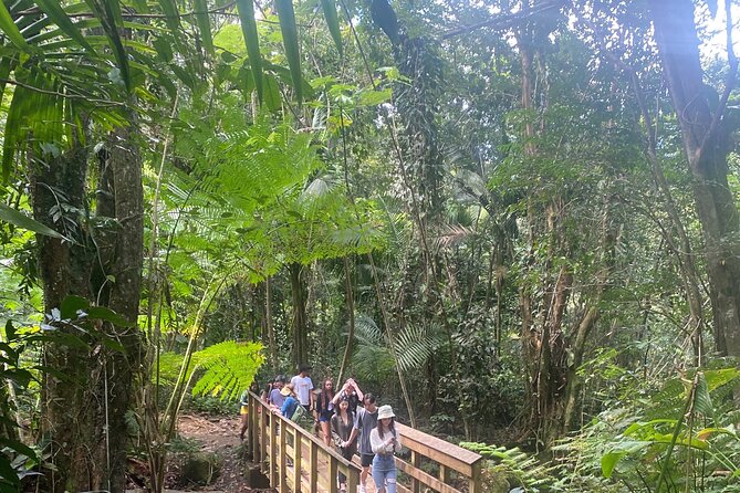 El Yunque Rainforest Hiking Tour from San Juan - Key highlights worth your attention