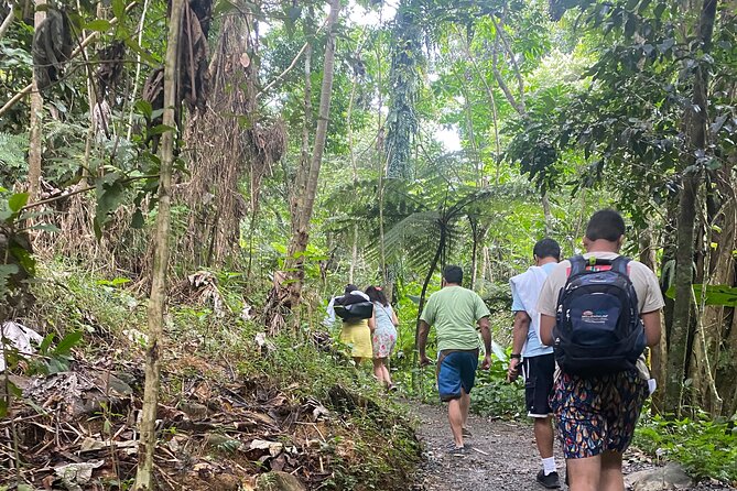El Yunque Rainforest Hiking Tour from San Juan - The 14-passenger A/C van ride, and why the drive matters