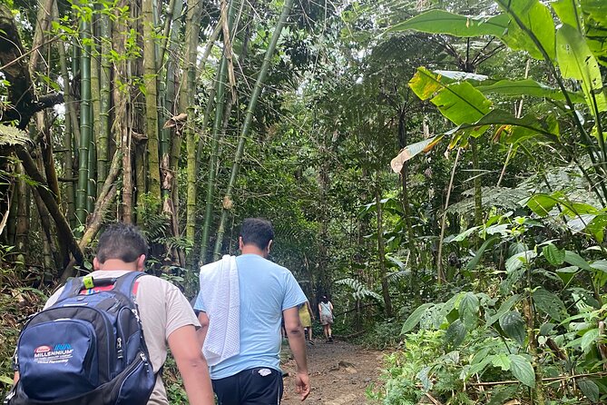 El Yunque Rainforest Hiking Tour from San Juan - La Coca Waterfall and the rhythm of the trail stops