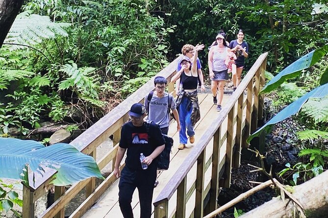 El Yunque Rainforest Hiking Tour from San Juan - Natural pools, possible river swimming, and the weather reality