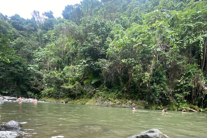 El Yunque Rainforest Hiking Tour from San Juan - Price and value: what $79 includes, and what it does not