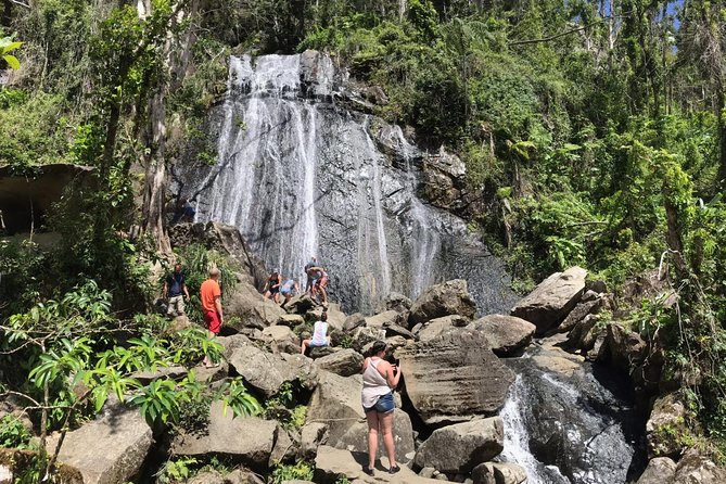 El Yunque Rainforest Hiking Tour from San Juan - Yokahu Tower: your big viewpoint moment around 2,000 feet