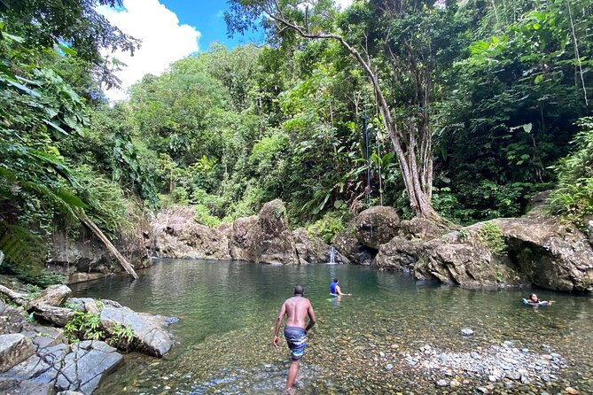 El Yunque Rainforest Morning River and Hike Adventure - El Yunque Morning Timing: Why 7:00 am Changes Everything