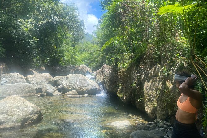 El Yunque Rainforest Morning River and Hike Adventure - Nature Lessons Without Lectures: Plants, Birds, and Rainforest Rhythm