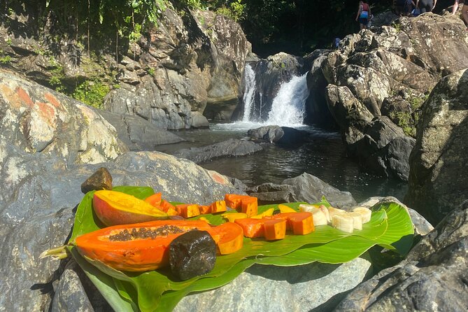 El Yunque Rainforest Morning River and Hike Adventure - Fueling Up After El Yunque With Puerto Rican Cuisine