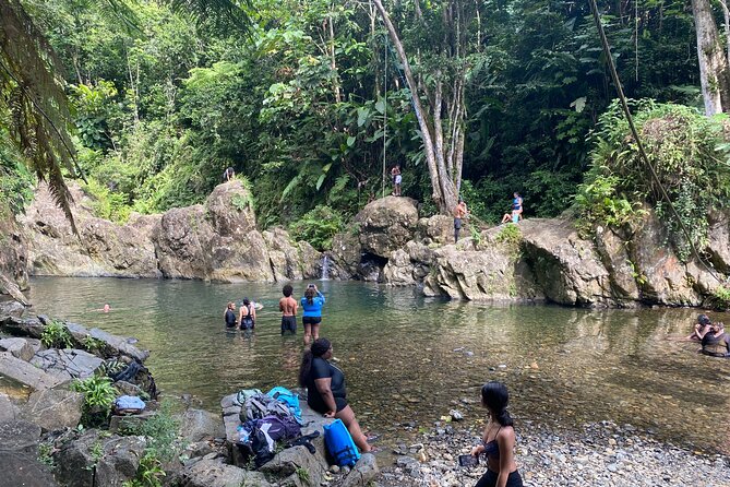 El Yunque Rainforest Morning River and Hike Adventure - Price and Value: What $120 Buys You in Real Terms