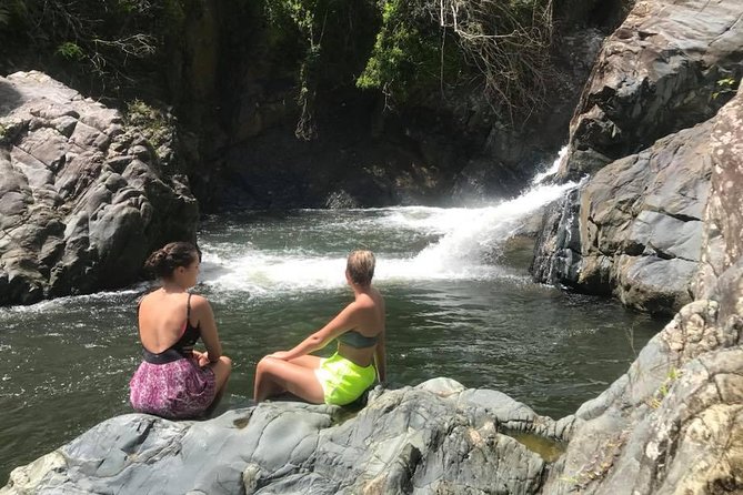 El Yunque Rainforest Tour from Fajardo - Key highlights to know before you go