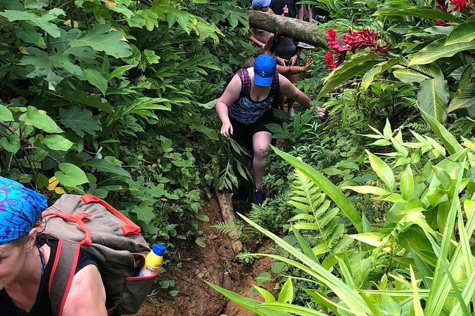 El Yunque Rainforest Tour from Fajardo - The advanced hike section: ropes, rock work, and natural pool fun