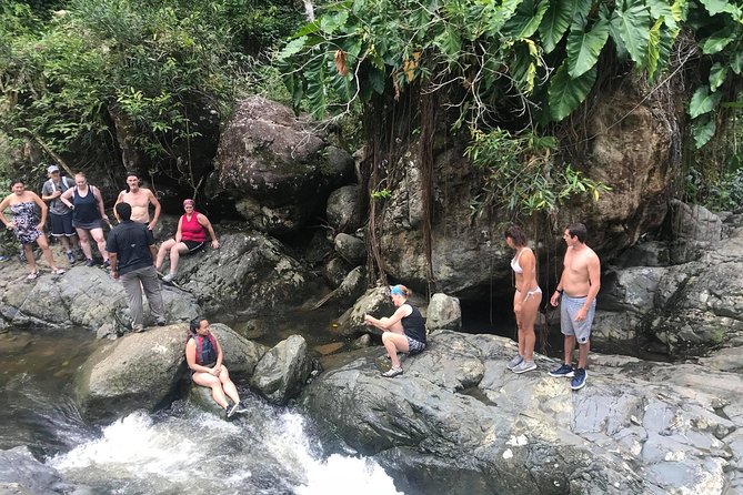 El Yunque Rainforest Tour from Fajardo - Should you book this El Yunque Rainforest Tour from Fajardo?