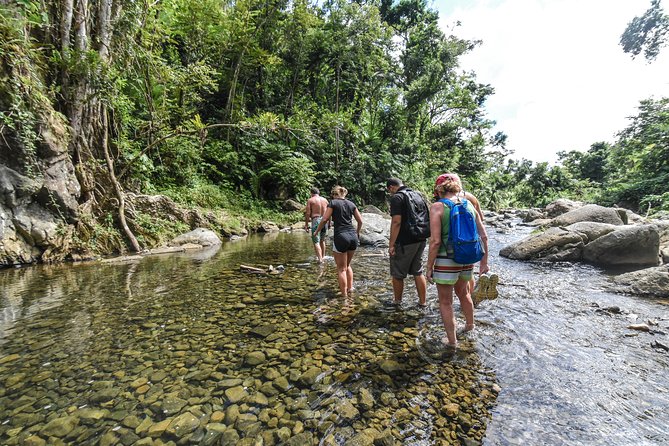 El Yunque Rainforest Tour from Fajardo - Las Tinajas and Charco Frio, the first muddy payoff