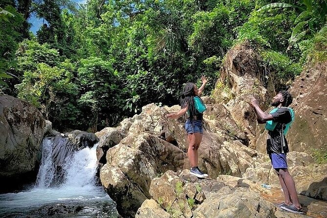 El Yunque Rainforest Tour Half Day Earlybird/ Small Groups - Photos, videos, snacks, and water: what’s actually included
