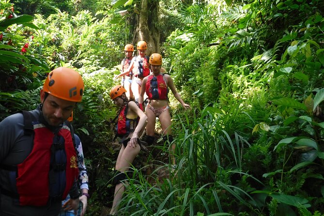 El Yunque Rainforest Tour: Natural Waterslides Adventure - Key things to know before you go