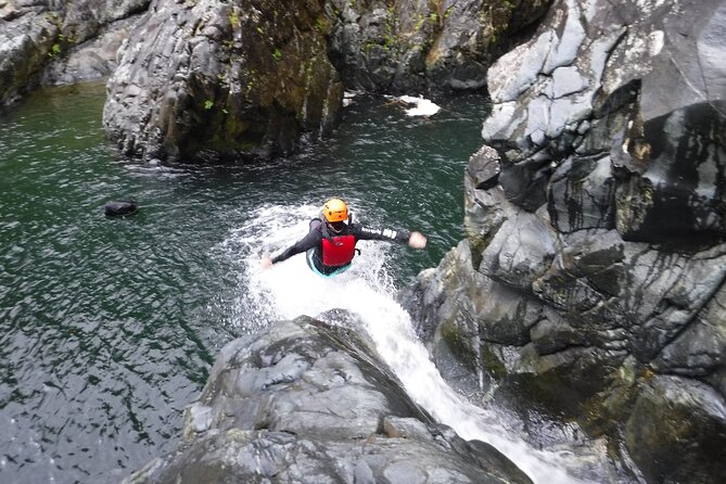 El Yunque Rainforest Tour: Natural Waterslides Adventure - The Real Value Question: Is $65 Worth It for El Yunque Slides?