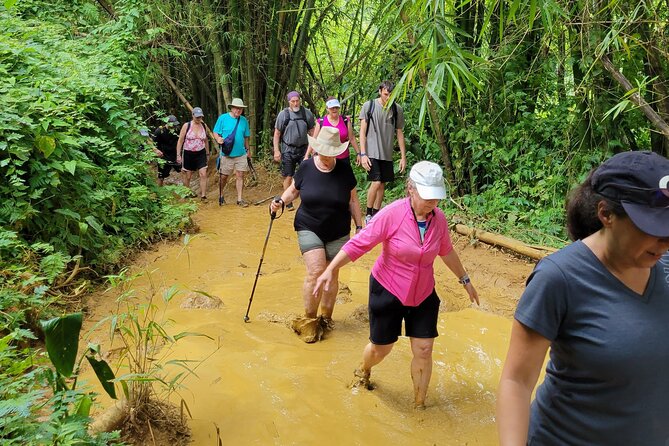 El Yunque Rainforest - Waterslide, Cliff jump, and Rope swing! - Is This the Right Tour for Your Group?